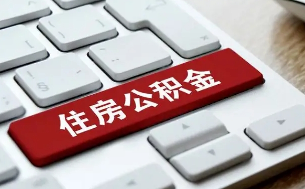 临沂公积金公司交的部分怎么提取（公积金提取公司缴纳部分）